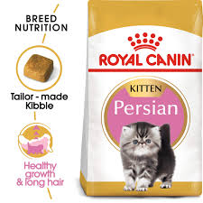 Royal canin persian kitten 4kg