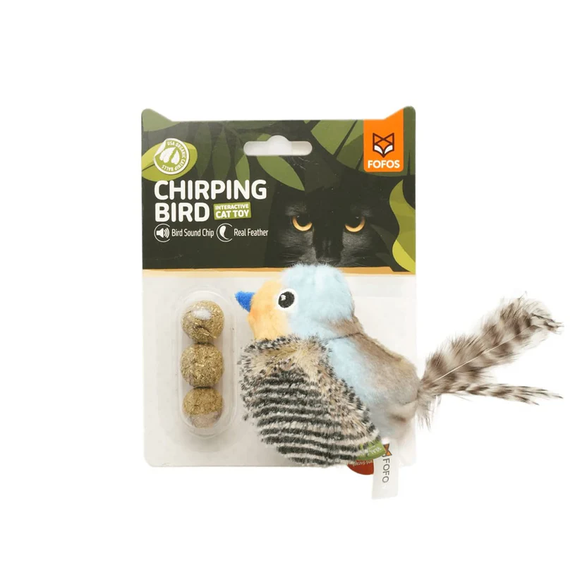 Fofos bluebird with catnip balls  