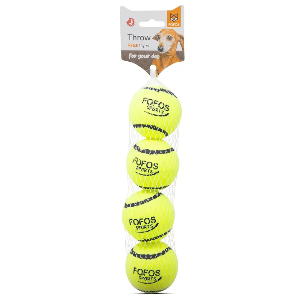 Fofos sports fetch ball