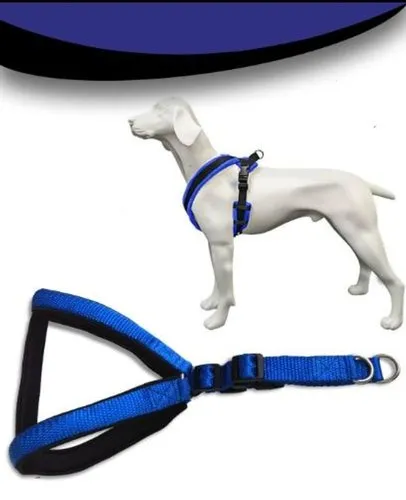 Manish Pet Shop Body Belt L