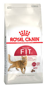 Royal Canin Fit 32 - 2Kg