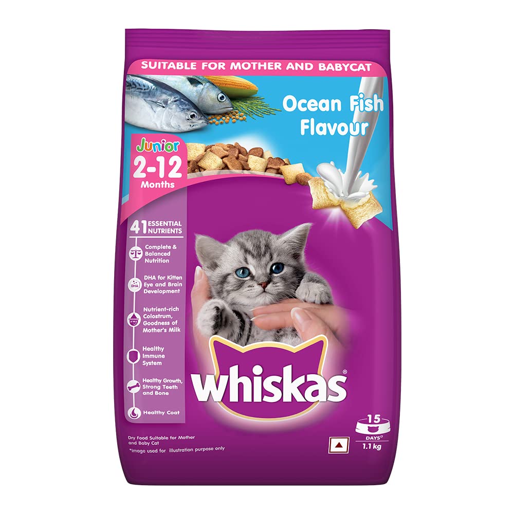 Whiskas Ocean Fish Junior 1.1Kg
