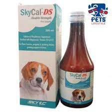Skycal-DS Calcium Liquid 200Ml