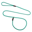 Pet Like Show Leash Long S