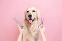 Hygienic cut large Breed
