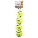Fofos sports fetch ball