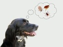 Tick Bath